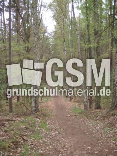Grunewald 05.jpg